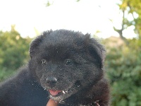 Hijo de la luna de la Victoire d'Urtie