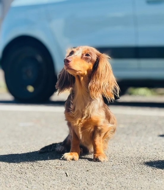 Tu danses le mia de la Victoire d'Urtie