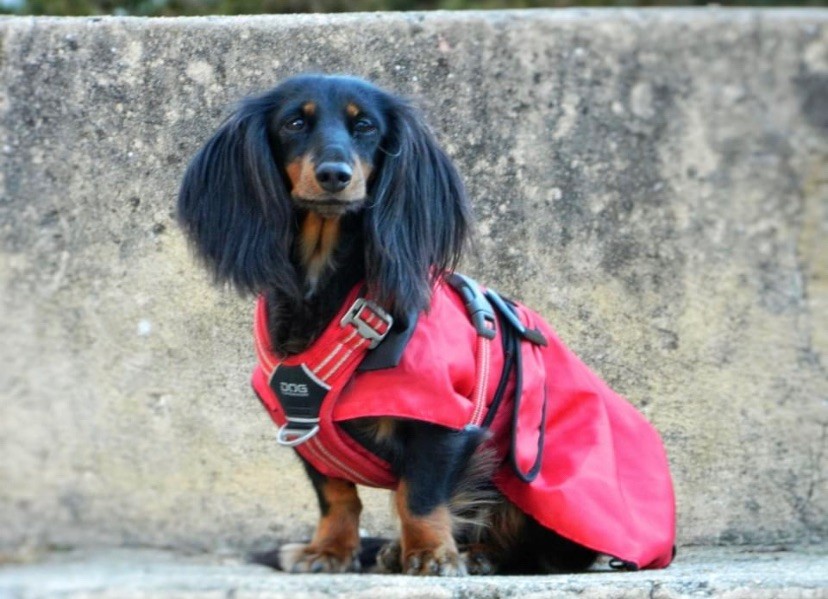 Minnie de la Victoire d'Urtie