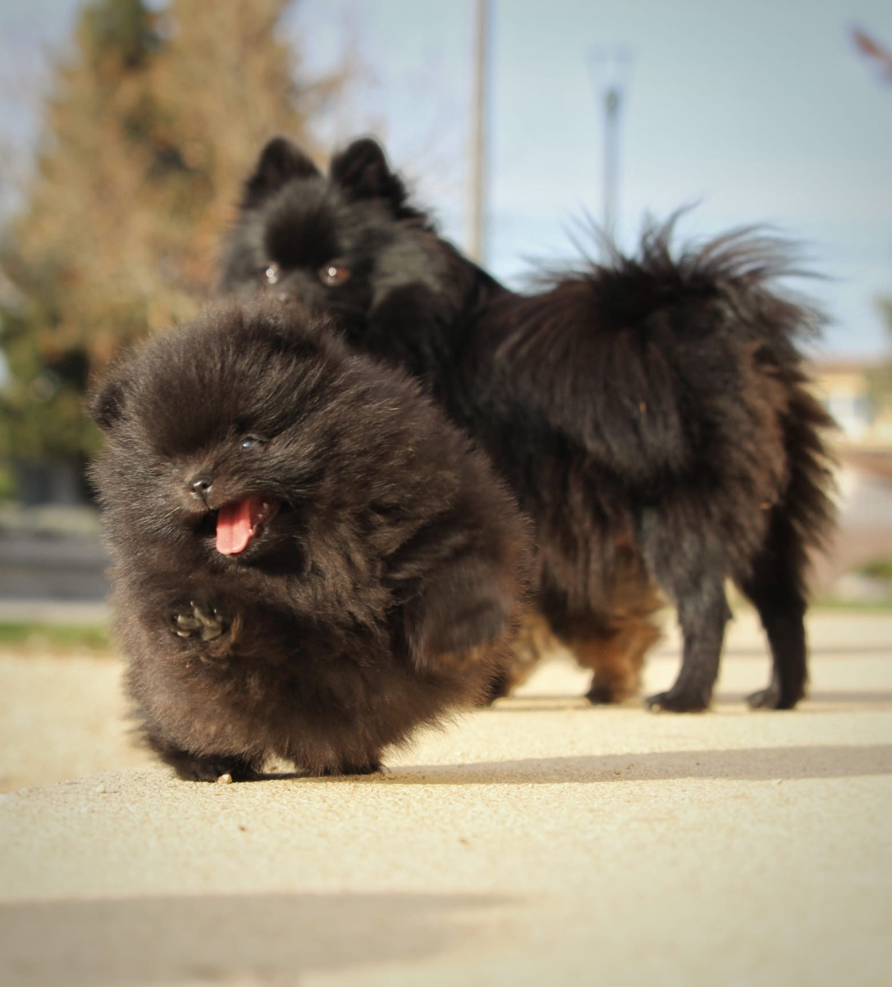 A de la Victoire d'Urtie